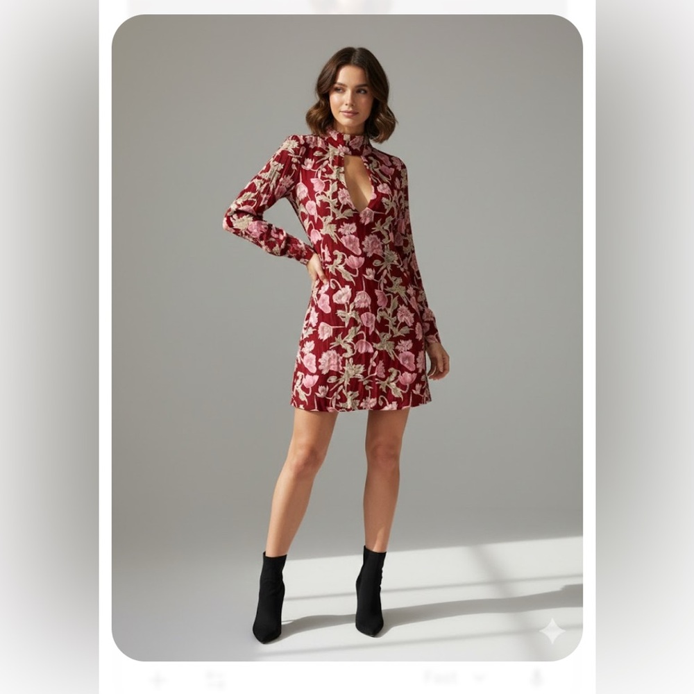 Flynn Skye Maroon and Pink Floral Long Sleeve Dress